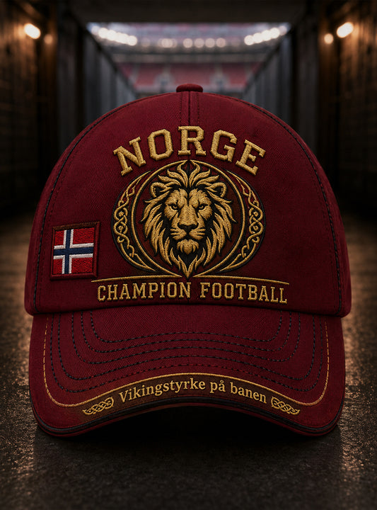 Unisex Norwegian Viking-Themed Art Print Hat